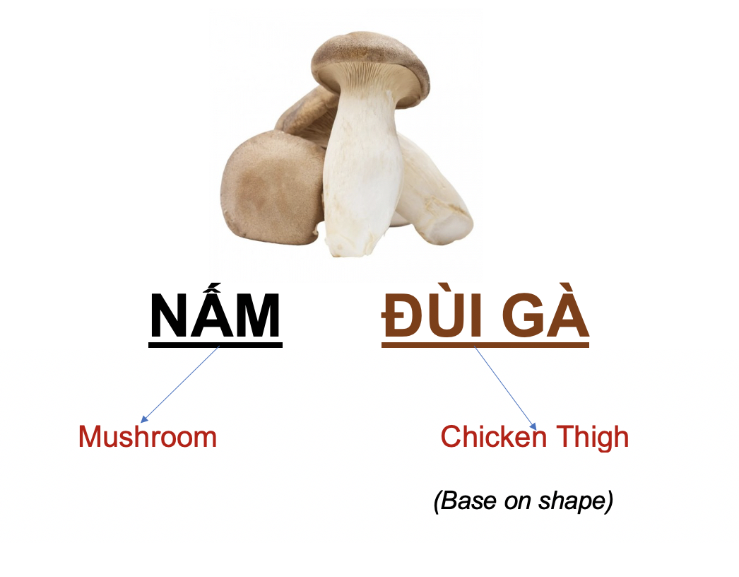 GSatTEc