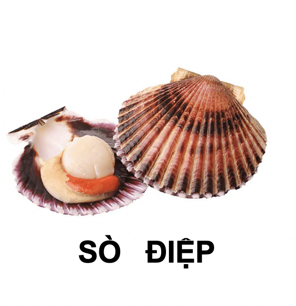 dHEjP73