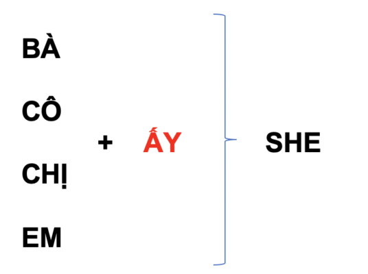 SHE 3